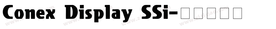 Conex Display SSi字体转换